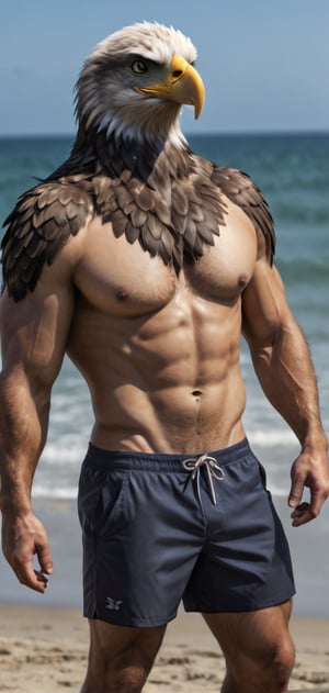 Create a tall slim man with an eagle head posing, flexkng his arms, wearing swim shorts, flip-flops, beach, outdoors, abs, high detailed,photo r3al,Movie still, HDR, body hair