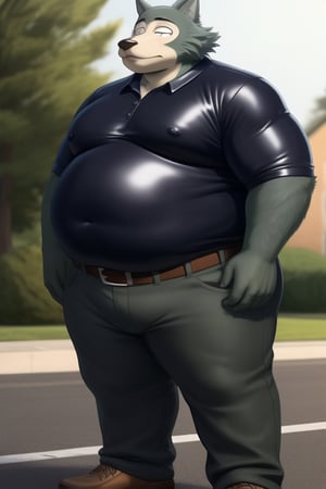 male, anthro_wolf, solo, legoshi_(beastars), obese, three hundred lbs, chunky, fat, gained weight, fat pectorals, thick legs, round belly, belly overhang, growing belly, belly bulging out, pants, tight pants, belt, fat love handles, moobs, shiny latex shirt, tight shirt, black shirt, rubber shirt, horizontal creases between pectorals, shirt tucked into pants, outside, college campus, khakis, clearly defined eyes, high quality, fat thick arms, horizontal crease lines between pectorals, plump ass, Standing, hands playing with belly, high quality, realistic proportions, double chin, fat face, fat cheeks, nipples, fat
rolls.