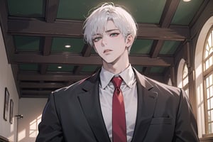 Ydor, 1boy, ((solo focus)), ((white short hair)), (Right side-parting bangs), green eyes, handsome, angular jaw, thick neck, ((School uniform:1.3)), Red tie, long sleeve, by Raphael, masterpiece, upper body shot, magnificent indoor hall