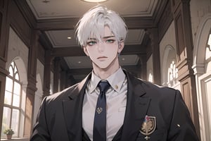 Ydor, 1boy, ((solo focus)), ((white short hair)), (Left bangs), green eyes, handsome, angular jaw, thick neck, ((School uniform:1.3)), tie, long sleeve, by Raphael, masterpiece, upper body shot, magnificent indoor hall