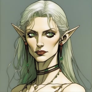 art by moebius and mike mignola: Lyrael, the Great Wolf, an intimidating female elf criminal and thug, light grey hair, emerald green eyes, high cheekbones, sharp features, thin lips, very pale white skin, evil-looking; north-african, barbaric, 