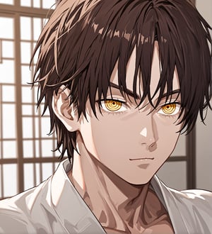 score_9,1boy, men, solo, teenager, (face view),  dark brown hair, baggy eyes  (ringed eyes, yellow eyes, Beautiful eyes, muscular arms, defined body), (masterpiece, best quality, modell, official art, beautiful and aesthetic:1.2), dark colors, kimono, hayato gokudera, 