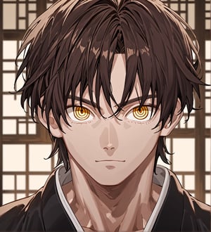 score_9,1boy, men, solo, teenager, (face view),  dark brown hair, baggy eyes  (ringed eyes, yellow eyes, Beautiful eyes, muscular arms, defined body), (masterpiece, best quality, modell, official art, beautiful and aesthetic:1.2), dark colors, kimono, hayato gokudera, 