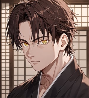 score_9,1boy, men, solo, 17 years old, (face view),  dark brown hair, baggy eyes  (ringed eyes, yellow eyes, Beautiful eyes, muscular arms, defined body), (masterpiece, best quality, modell, official art, beautiful and aesthetic:1.2), dark colors, kimono, hayato gokudera, 