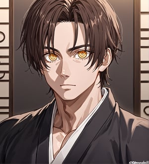 score_9,1boy, men, solo, 17 years old, (face view),  dark brown hair, baggy eyes  (ringed eyes, yellow eyes, Beautiful eyes, muscular arms, defined body), (masterpiece, best quality, modell, official art, beautiful and aesthetic:1.2), dark colors, kimono, hayato gokudera, 