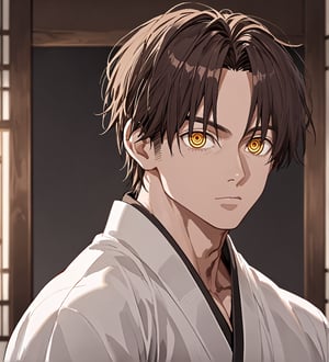 score_9,1boy, men, solo, 17 years old, (face view),  dark brown hair, baggy eyes  (ringed eyes, yellow eyes, Beautiful eyes, muscular arms, defined body), (masterpiece, best quality, modell, official art, beautiful and aesthetic:1.2), dark colors, kimono, hayato gokudera, 