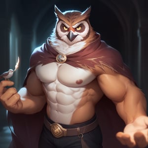 score_9, score_8_up, score_7_up,
  Anthro, owl, bird, muscular, gold eyes, , brown feathers, white feathered chest, 
8K, In'ei, chiaroscuro, depth of field, side lighting, cinematic lighting, clear_eyes,
perfect hands, perfect proportions, 6abs, peak physical perfection, perfect male physique, sexy muscular body, 
dynamic pose, detailed anime background, detailed hellscape, perfect hands, clever, charismatic, alluring and handsome, inviting smile, brash, masterful manipulator, tattered cape, (scale mail top), black pants,  
BREAK zPDXL, zPDXLxxx,    bnav5 style,