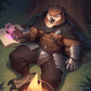 score_9, score_8_up, score_8, score_7_up, 8k, high quality, anthro, POV, Dynamic angle, anthro, 1men, Owl, magic knight, (leather armor, tattered cape, magic gauntlets),closed eyes, brown feathers, talons, male, anthro, resting on hand, laying down, (rugged appearance, scruffy), best lighting, calm, nighttime, outside, campfire, masterpiece, best quality, highly detailed, 
    