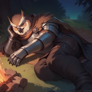 score_9, score_8_up, score_8, score_7_up, 8k, high quality, anthro, POV, Dynamic angle, anthro, 1men, Owl, magic knight, (leather armor, tattered cape, magic gauntlets), closed eyes, brown feathers, talons, male, anthro, hand on face, laying down, laying on side, (rugged appearance, scruffy), best lighting, calm, nighttime, outside, campfire, masterpiece, best quality, highly detailed, 
    