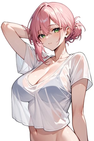 score_9_up, score_8_up, score_7_up, score_6_up,score_5_up,score_4_up,source_

white background,
1gir, pink hair, green eyes, big chest, transparent shirt