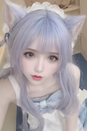 Animal ears,cat ears,male focus,apron,tail,cat tail,otoko no ko,open mouth,blue hair,solo,white hair,maid headdress,blue eyes,looking at viewer,wariza,hair ornament,cat boy,sitting,pale skin,bow,apron,far wide_shot hair eyes,far hair eyes,