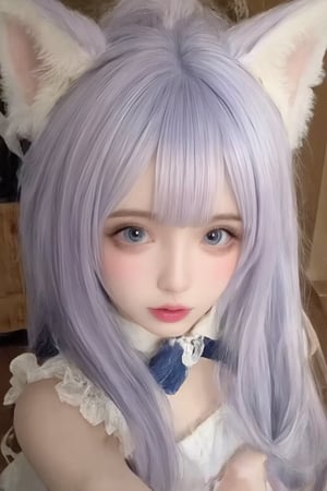 Animal ears,cat ears,male focus,apron,tail,cat tail,otoko no ko,open mouth,blue hair,solo,white hair,maid headdress,blue eyes,looking at viewer,wariza,hair ornament,cat boy,sitting,pale skin,bow,apron,far wide_shot hair eyes,far hair eyes,