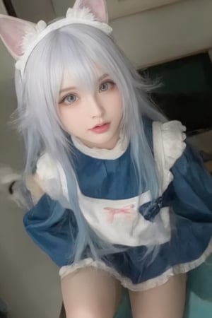 Animal ears,cat ears,male focus,apron,tail,cat tail,otoko no ko,open mouth,blue hair,solo,white hair,maid headdress,blue eyes,looking at viewer,wariza,hair ornament,cat boy,sitting,pale skin,bow,apron,far wide_shot hair eyes,far hair eyes,