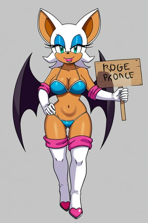 Rouge the Bat from sonic the hedgehog series, rouge has lost a bet so she has to wear a very small blue bikini, holding a sign that says be ready for the game.