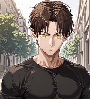 score_9,1boy, men, solo, looking at the viewer, 17 years old, (face view), dark brown hair, baggy eyes  (ringed eyes, yellow eyes, Beautiful eyes, muscular arms, defined body), (masterpiece, best quality, modell, official art, beautiful and aesthetic:1.2), dark colors, black shirt, hayato gokudera, outdoors, 