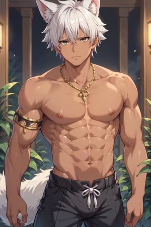 score_9, score_8_up, score_7_up, solo, looking at viewer, short hair, 1boy, navel, animal ears, jewelry, closed mouth, tail, white hair, male focus, cowboy shot, dark skin, necklace, animal ear fluff, grey eyes, fox ears, muscular, fox tail, abs, dark-skinned male, pectorals, plant, extra ears