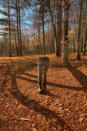 A serene autumn scene: a warm golden light casts long shadows across a rust-hued forest floor, where fallen leaves crunch beneath a lone figure's boots. The subject, dressed in earthy tones, stands amidst towering trees, their branches etched against the soft blue sky like wispy brushstrokes.