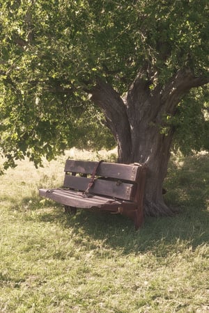 A nostalgic afternoon scene: a weathered wooden bench sits beneath the branches of a gnarled old tree, its leaves rustling softly in the gentle breeze. A vintage-inspired suitcase lies open at the foot of the bench, spilling out worn leather straps and forgotten treasures. The warm sunlight casts long shadows across the overgrown grass, as if time itself has slowed to a nostalgic crawl.