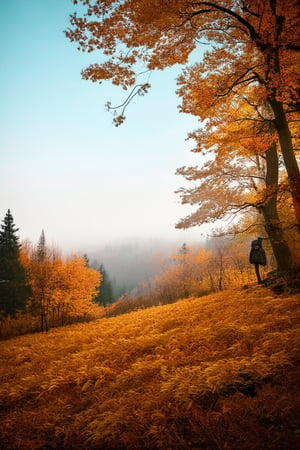 A serene autumn landscape: a golden-hued forest with amber leaves rustling in the gentle breeze, surrounded by misty hills and a clear blue sky. A solitary figure stands at the edge of the clearing, looking out at the distant trees, dressed in warm earth tones to blend with the natural surroundings.