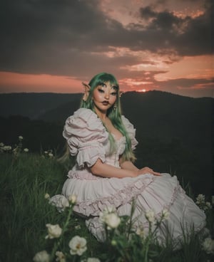 a woman,4eyes,long beautiful green hair, sitting on a grassy hill with a white ruffled long dress with puffy ruffled sleeves, white flowers, dark sunset, beautiful scenery,creature