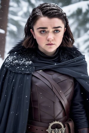 Maisie Williams' raven tresses are neatly tied back, framing her determined expression as she dons a leather armor set. The open cloak billows behind her, and a fur-lined cowl wraps around her neck like a protective barrier. Snowflakes gently fall around her, casting a serene atmosphere in this winter wonderland scene.