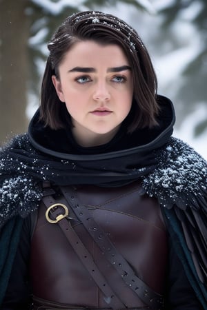 Maisie Williams' raven tresses are neatly tied back, framing her determined expression as she dons a leather armor set. The open cloak billows behind her, and a fur-lined cowl wraps around her neck like a protective barrier. Snowflakes gently fall around her, casting a serene atmosphere in this winter wonderland scene.