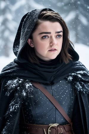 Maisie Williams' raven tresses are neatly tied back, framing her determined expression as she dons a leather armor set. The open cloak billows behind her, and a fur-lined cowl wraps around her neck like a protective barrier. Snowflakes gently fall around her, casting a serene atmosphere in this winter wonderland scene.