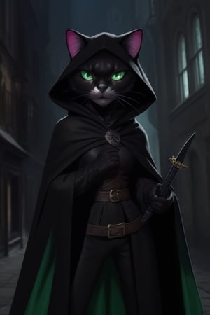 black furred anthropomorphic cat rogue, female anthropomorphic cat, wering a dark cloak and hood, holding a dagger, standing in a medieval urban environment, black fur, green eyes