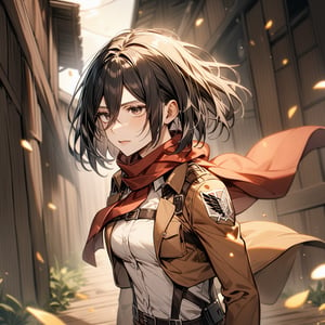 1girl, mikasa ackerman, shingeki no kyojin