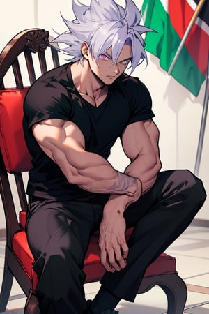 Highly detailed, High Quality, Masterpiece, beautiful,Goku with Mexico flag, silver hair,light purple eyes , black pants, black t-shirt, sitting on a chair