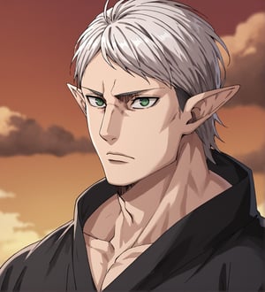 score_9,1boy, men, solo, upper body, focus male, medium hair, white hair, baggy eyes , muscle body, green eyes, pointy ears, elf ears, soft skin, Beautiful eyes, defined body, dark colors, kimono, hayato gokudera, akatsuki cloak, black cloths with red clouds, akatsuki cloths,loose clothing, detailed eyes, big muscles,cloak, normal face, looking at the viewer,JeanKirstein