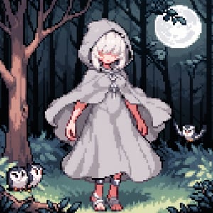 Solo_female, woman, white hair,grey feathered dress, long dress, ankle length dres, grey hooded cloak, owl hood, feathered cloak, hood over eyes, forest background with moon, innocent, moonlight, sprite, pixel style