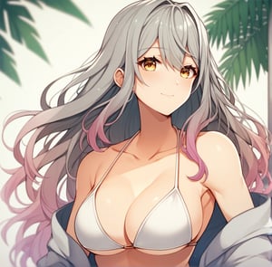 , ,,score_9, score_8_up, score_7_up,source_anime,, , bikini, grey hair, long hair, gradient hair, amber eyes ,, ,
,, ,, ,neya_i