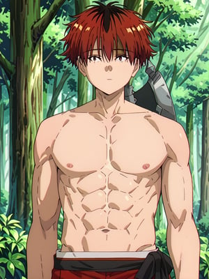 score_9, score_8_up, score_7_up, masterpiece, best quality, 1boy, male_focus, stark_sousou_no_frieren,red hair,red eyes, looking_at_viewer, forest, (shirtless), toned abs, masterpiece, best quality, (perfect proportions), (perfect face, detailed face)