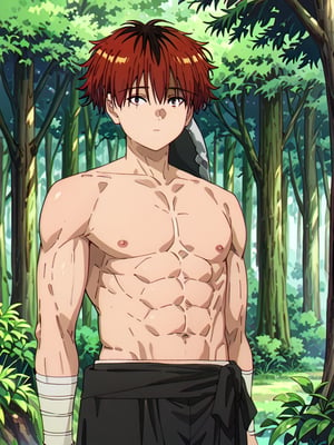 score_9, score_8_up, score_7_up, masterpiece, best quality, 1boy, male_focus, stark_sousou_no_frieren,red hair,red eyes, beautiful eyes, looking_at_viewer, forest, (shirtless), toned abs, masterpiece, best quality, (perfect proportions), (perfect face, detailed face),