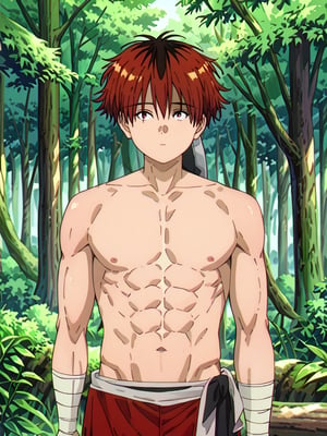 score_9, score_8_up, score_7_up, masterpiece, best quality, 1boy, male_focus, stark_sousou_no_frieren,red hair,red eyes, looking_at_viewer, forest, (shirtless), toned abs, masterpiece, best quality, (perfect proportions), (perfect face, detailed face), full body