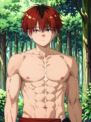 score_9, score_8_up, score_7_up, masterpiece, best quality, 1boy, male_focus, stark_sousou_no_frieren,red hair,red eyes, beautiful eyes, looking_at_viewer, forest, (shirtless), toned abs, masterpiece, best quality, (perfect proportions), (perfect face, detailed face),