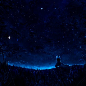 8k, masterpiece, anthro, male, wolf, solo, black hair, wolf ears, snout, wolf tail, viewing away, background: hill, background focus, night sky, starry sky, glowing, r!ge (blue theme: 1.2) (violet theme: 1)