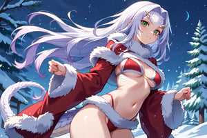 crossbreedpriscilla,dragon girl,white fur,green eyes,slit pupils,tail,fur trim, skimpy revealing Christmas dress,long sleeves, score_9,score_8_up,score_7_up, ouside at night in the snow