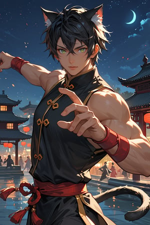 Score_9, score_8_up, score_7_up, source_anime, detailed illustration, fantasy themed, ((night, night sky)), chinese city, seaside, outdoors, from side, 1boy, solo, black hair, tan skin, looking at viewer, dark green eyes, ((chinese martial artist)), chinese clothes, dynamic pose, kung fu, ((chinese sword)), upper body, cat ears, black cat ears, fit, toned, hair between eyes, pants, weilding a sword