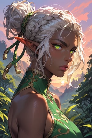 Score_9, score_8_up, score_7_up, source_anime, detailed illustration, fantasy themed, ((sunrise, sunrise sky)), forest, from side, 1girl, solo, white hair, hair bun, large hair bun at back of head, looking at viewer, ((druid)), heterochromatic, different colored eyes, only one green eye, only one gold eye, chinese clothing, upper body, calm, elf ears, pointy ears, dark elf, dark skin, black skin, ((very dark room:1.2)), outdoors, serious, glowing eyes