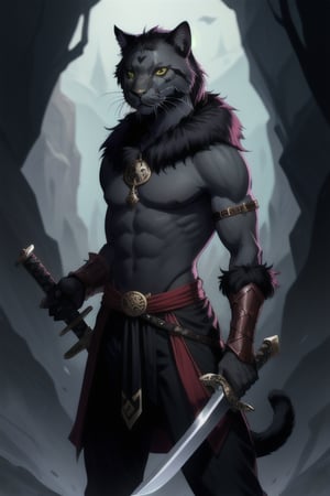 male dark fur Tabaxi panther warrior with two swords
