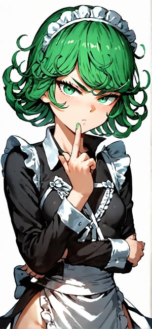 Tatsumaki , white background, perfect, hand, fingers, 1 sexy and hot woman,ideal woman, Tatsumaki, High detailed, Detailed face , Green clothes, Green eyes, Green hairs,


score_9, score_8_up, score_7_up, score_6_up, score_5_up, score_4_up, BREAK source_anime,  looking at viewer, serious, dutch angle, (maid uniform:1.1), braid,Expressiveh,tatsumaki_opm