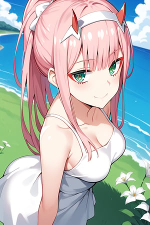 1girl, zero two (darling in the franxx), solo, long hair, pink hair, red horns, bangs, green eyes, detailed eyes, red pupil, white sundress, blush, flush, smile, blue sky, blue sky background, clouds, outdoor, vibrant color saturation, precise image, expressive eyes, perfect anatomy, score_9, score_8_up, score_7_up, day, high angle, from side, from back, touching hair, standing, standing on grass, white flowers, face focused