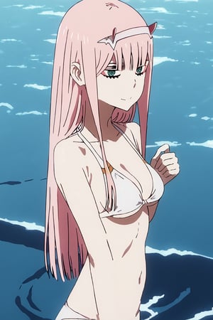 zero two, in bikini and big bubies,BREAK