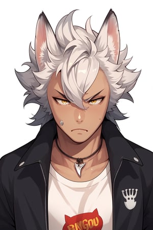 score_9,score_8_up,score_7_up,score_6_up,score_5_up,score_4_up,source_anime,BREAK,jack howl,wolf ears, wolf tail,spiked hair,yellow eyes,white hair,necklace, hot guy, perfect face
