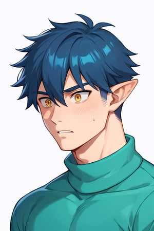 score_9, score_8_up, score_7_up,source_anime,BREAK, Wriothesley, teenager, athletic, tall male,short Hair, black blue Hair, golden cyan Eyes, Pointy Ears, cyan sweater, pale_skin, 