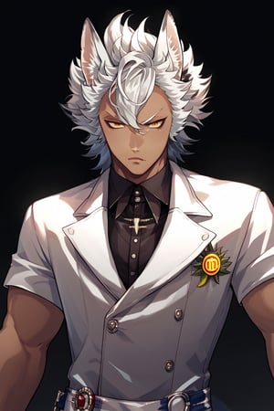 score_9,score_8_up,score_7_up,score_6_up,score_5_up,score_4_up,source_anime,BREAK,jack howl,wolf ears, wolf tail,spiked hair, yellow eyes,white hair,necklace, perfect face, athletic_male ,best anatomy, elegant_face_mask, elegant_uniform, 