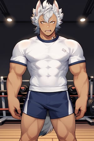 score_9,score_8_up,score_7_up,score_6_up,score_5_up,score_4_up,source_anime,BREAK,jack howl,wolf ears, wolf tail,spiked hair,yellow eyes,white hair,necklace, hot guy, perfect face, big muscles, bodybuilder, gym, gym_clothes, gym_uniform
