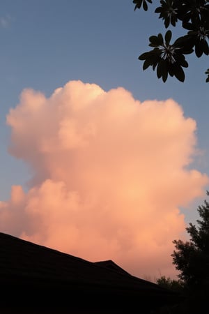 As if I had taken a photo of the sky at sunset and a cloud appears in the shape of an elephant, I am in my house and you can see a part of the roof and the leaves of the tree